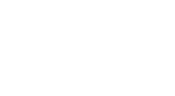 Car 3000